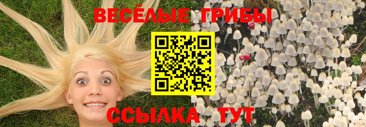 цены   Вход с VPN  Лыткарино  Псилоцибиновые грибы прущие грибы 